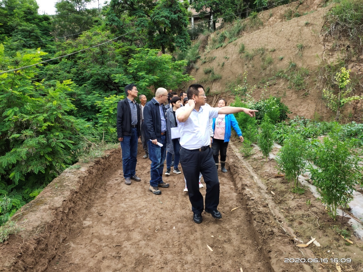 1592550265460057142.jpg ͼƬ4.jpg